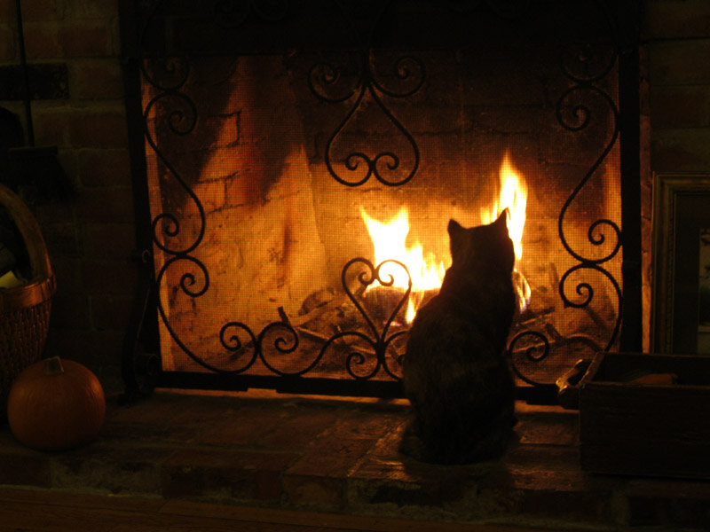 Фото из открытого источника в интернете