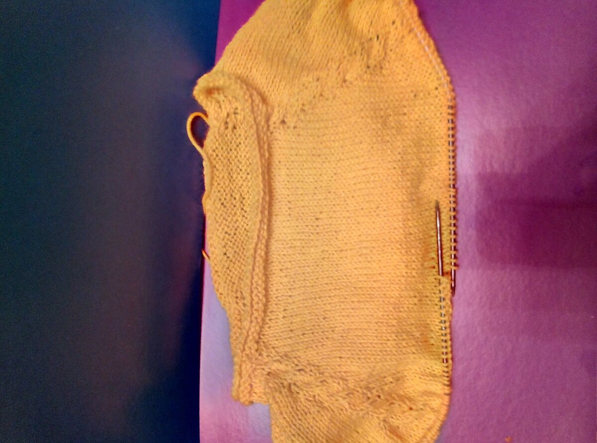 Росток должен быть на 3 см выше переда. Фото автора.