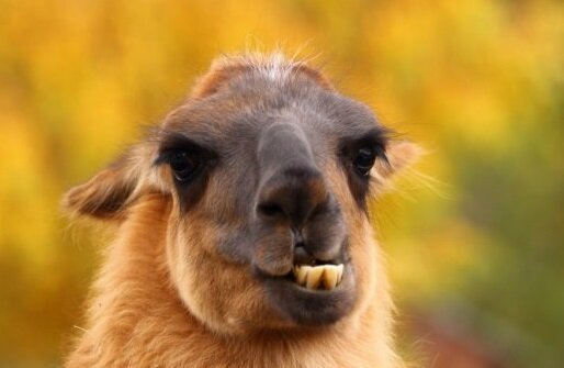 А что, так можно было? Ну, ладно...