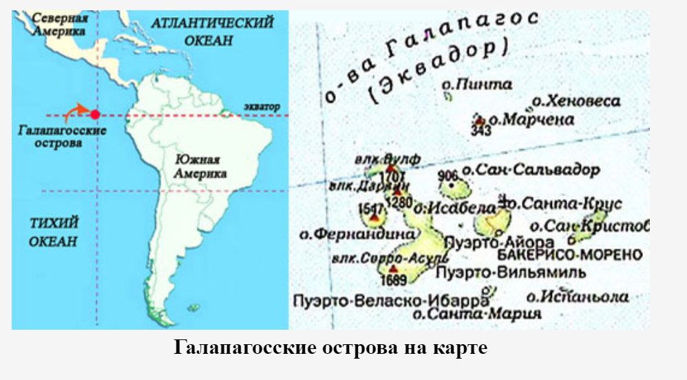 Южная часть архипелага малых антильских островов называется. Остров Галапагос на карте. Остров Галапагос на карте Южной Америки. Галапагосские острова на карте Южной Америки.