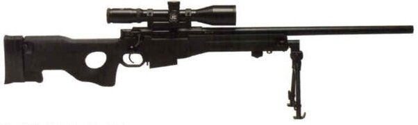 Arctic Warfare Police (AWP)