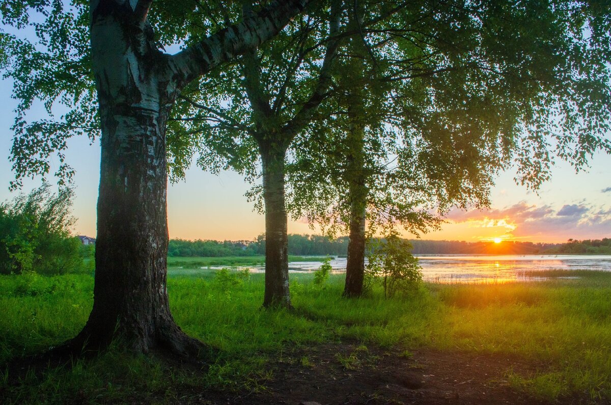 на заводи речные и румянит. на заводи речные и румянит. на заводи речные и румянит. на заводи речные и румянит. стихотворение есенина с добрым утром.