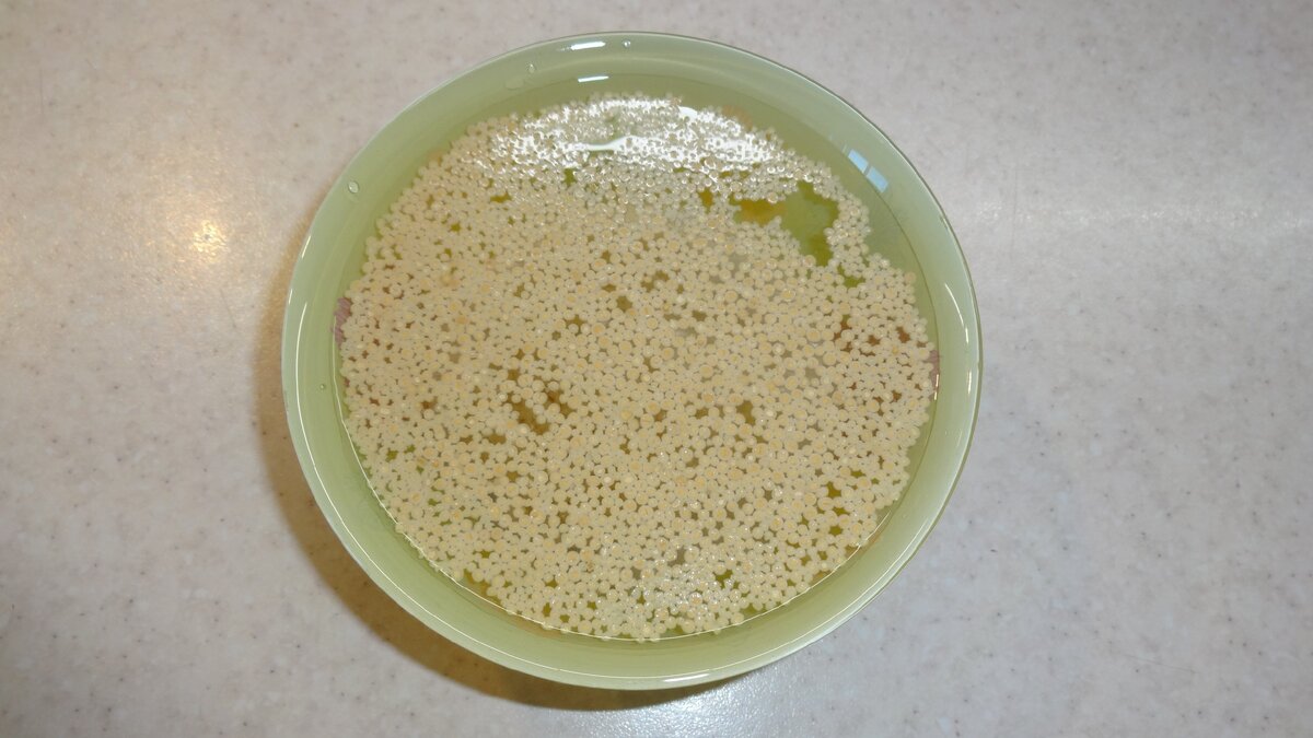 Растворите дрожжи в 200 мл тёплой воды (+35...+38 градусов). Дайте постоять около 10 минут. Хорошо перемешайте перед добавлением в муку. 