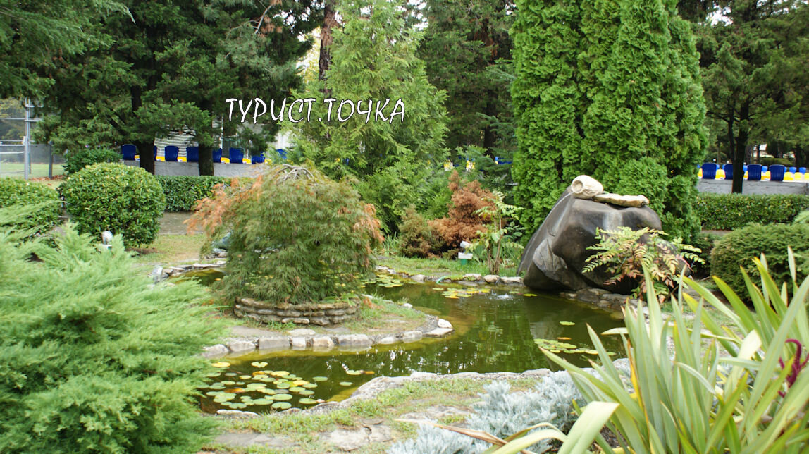 Один из прудов