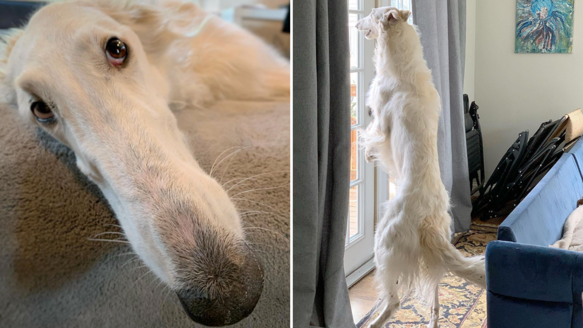 Источник фото: www.instagram.com/eriszoi 