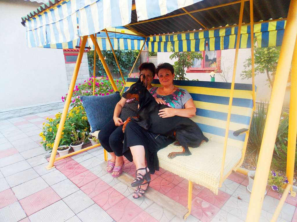 Все любят посидеть на качелях. Мы Галей и Зайкой тоже(фото из архива автора)