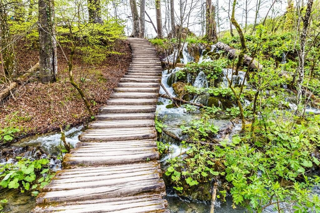 Жизнь без дорог. Фото: https://st2.depositphotos.com