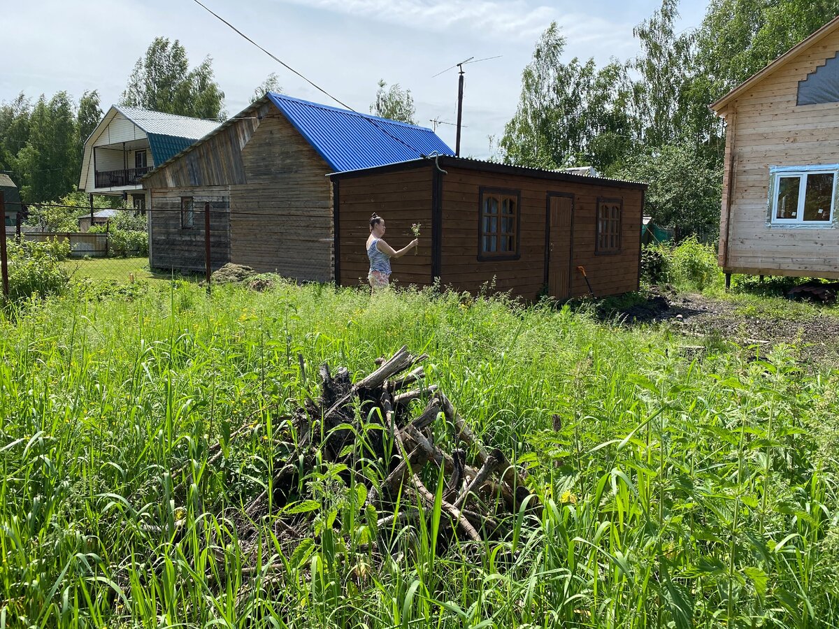 Жители деревни голубое. Горелово Садоводство Веретено отзывы.