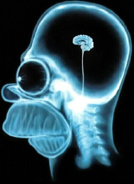 Среднестатистический автор на Дзене