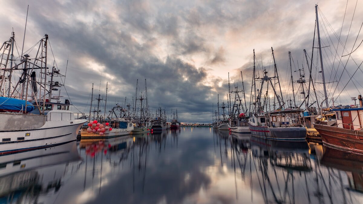 Мелкие рыбацкие предприятия вынуждены остановить ловлю из-за недостатка прибыли.