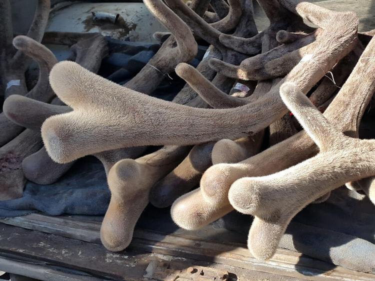 источник фото Яндекс