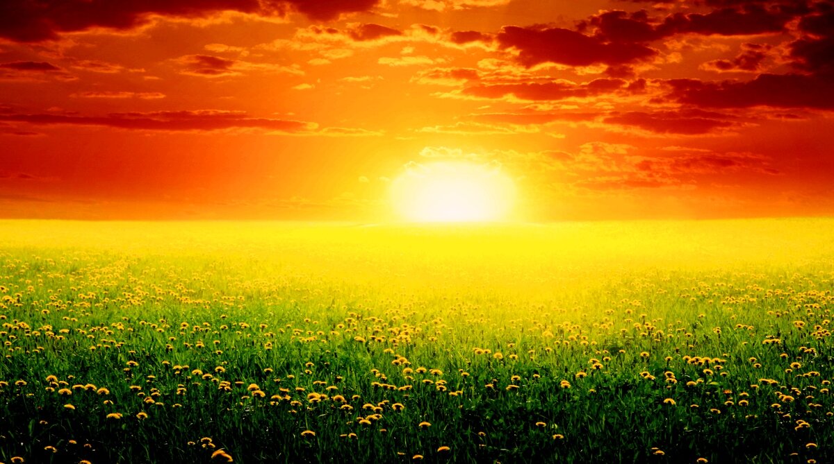 Взяла из интернет коллекции. Эта картинка как рассвет мамы после ночи.