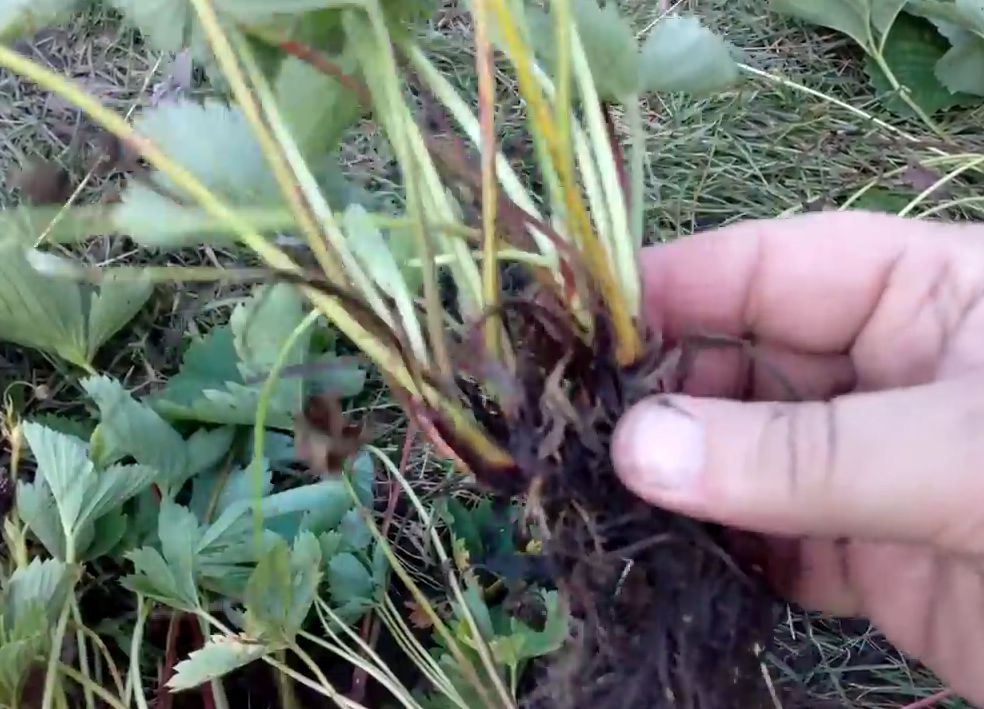 Фото из личного архива автора