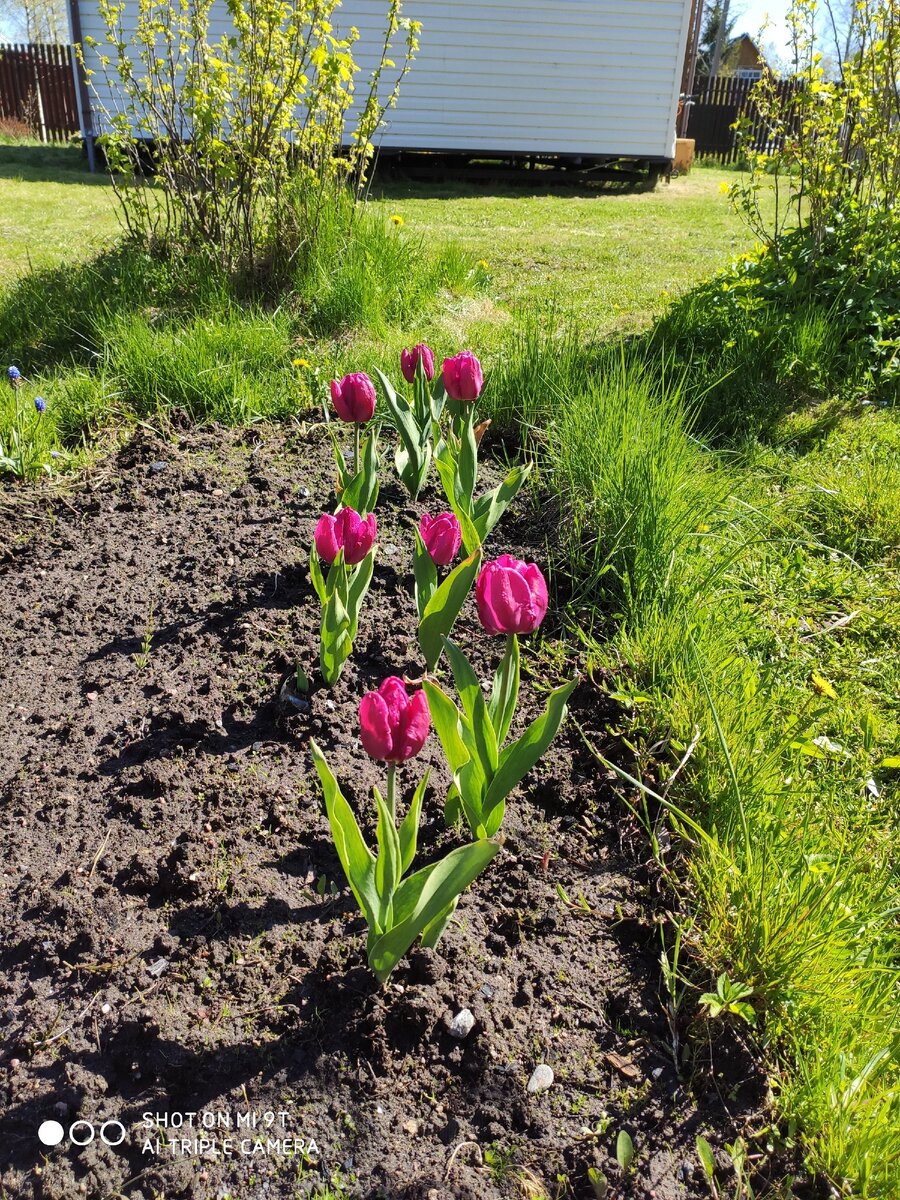 Фото из личного архива