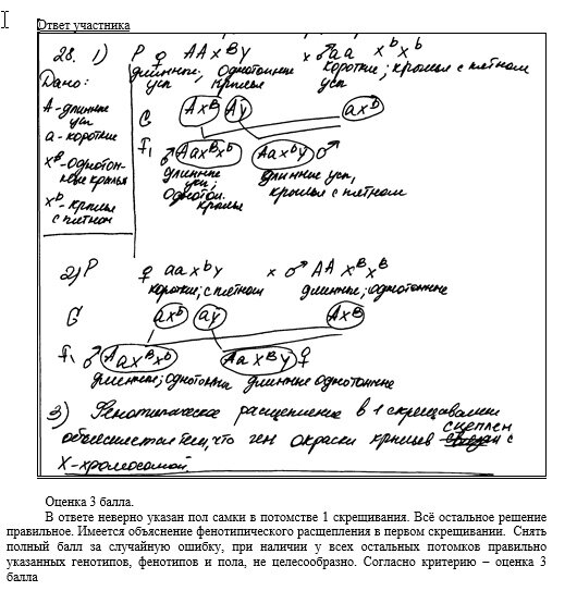 Создать карусель             Добавьте описание