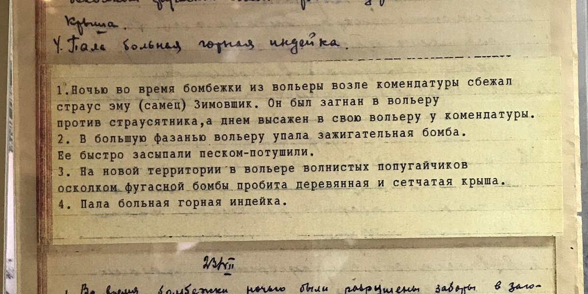 Фото предоставлено музеем Московского зоопарка