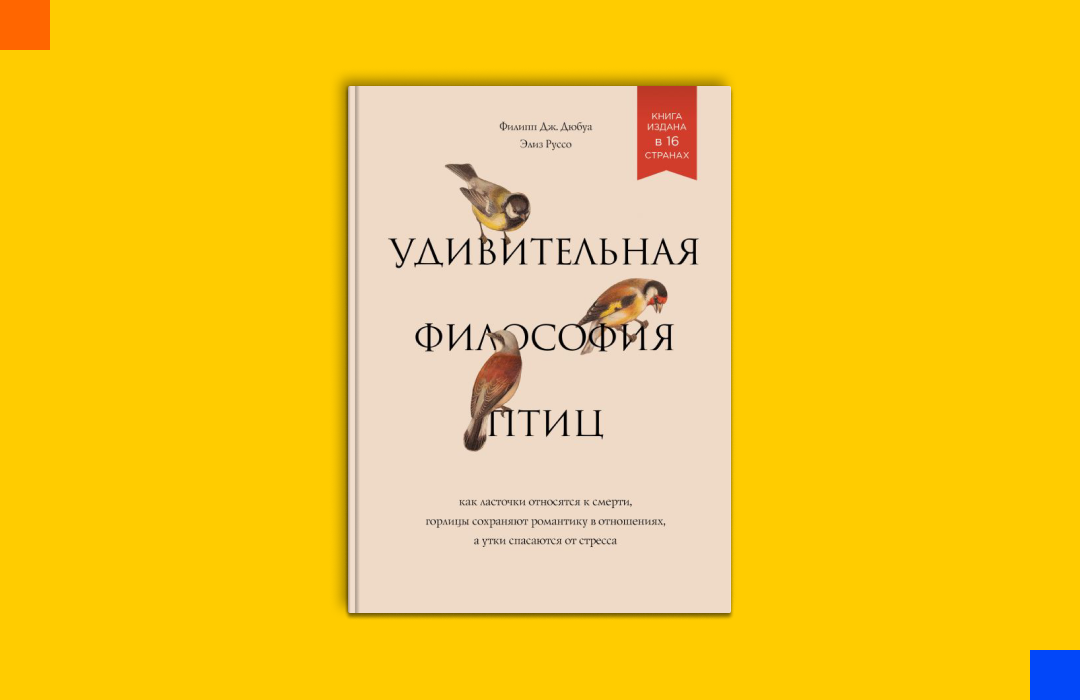 Идеи на тему «Книги о птицах» (28) | книги, сказки, птицы