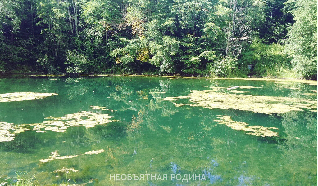 Вода абсолютно прозрачная. Фото автора.