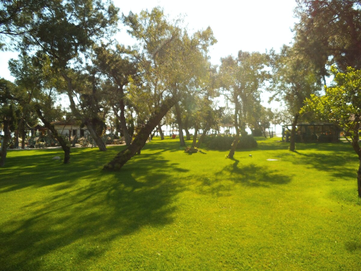 фото из личного архива