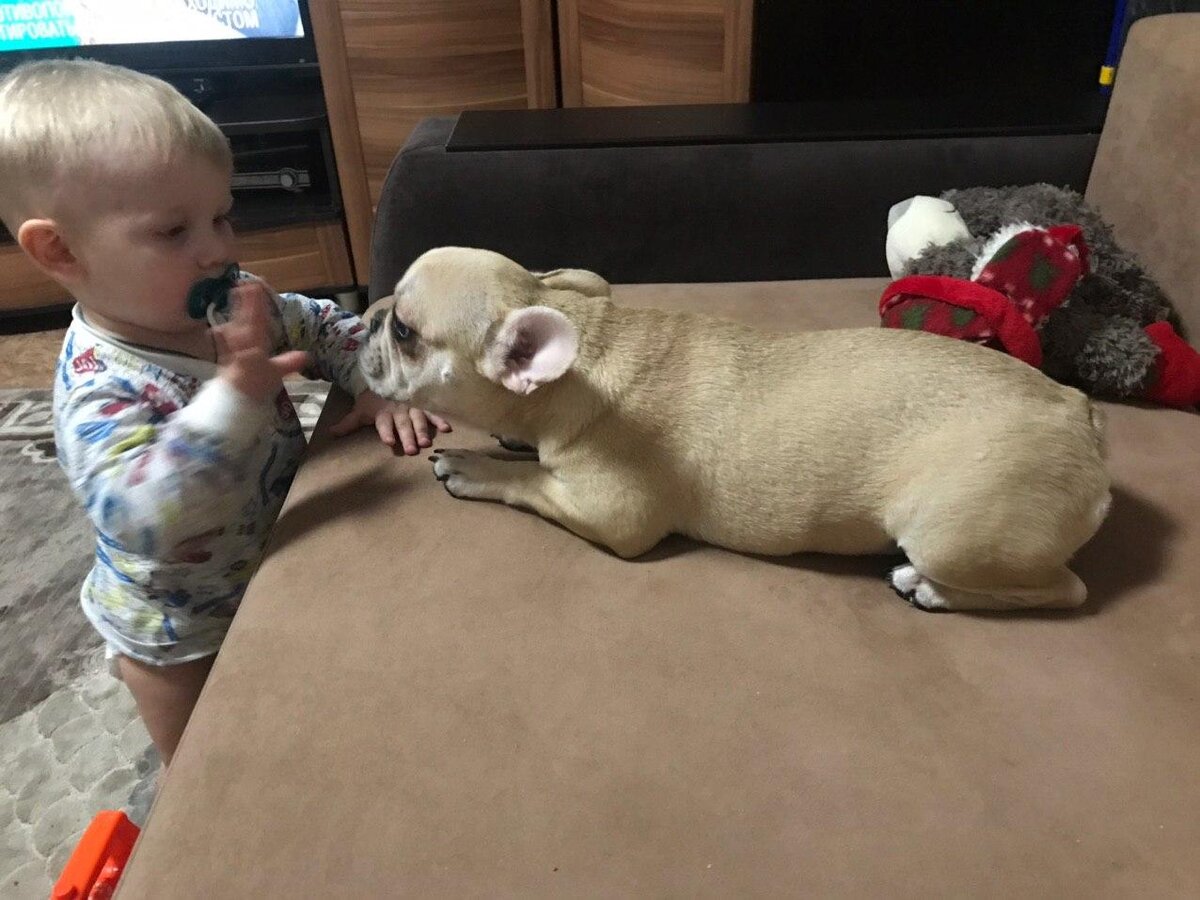 #дети и животные 