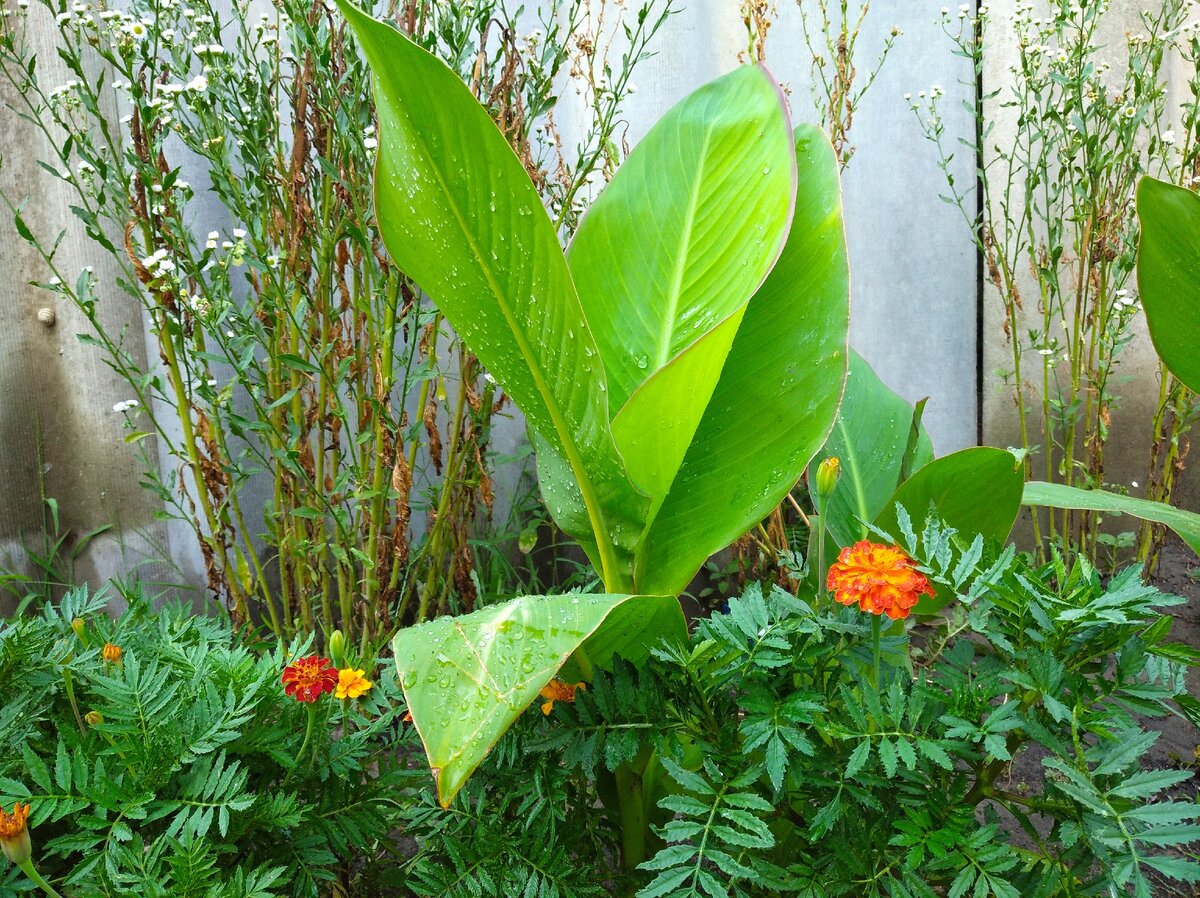 фото из личного архива автора канала