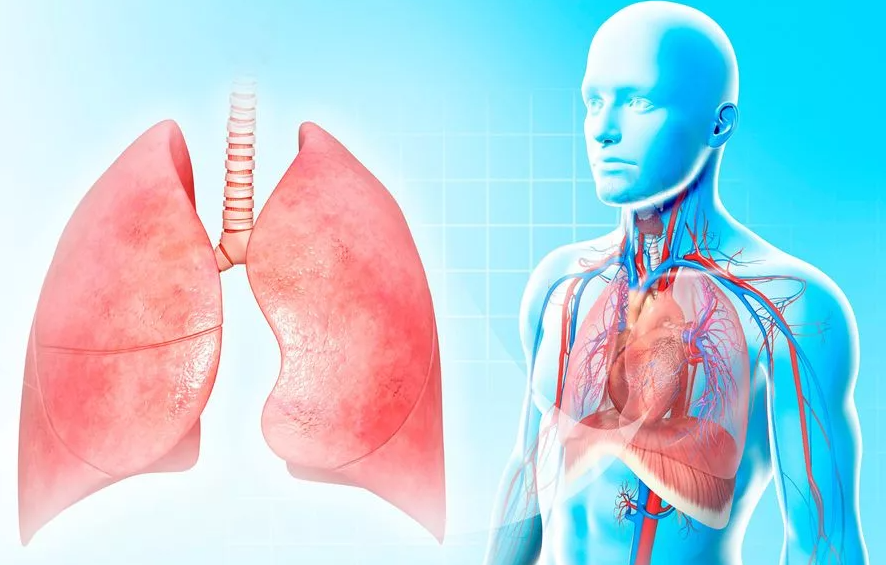 Дыхание чистым воздухом  - правило N 1