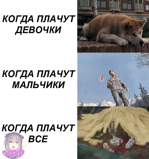 Всё же собачек жалко(