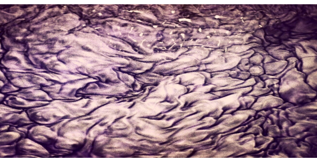 Кадр из фильма "Солярис" А.Тарковского