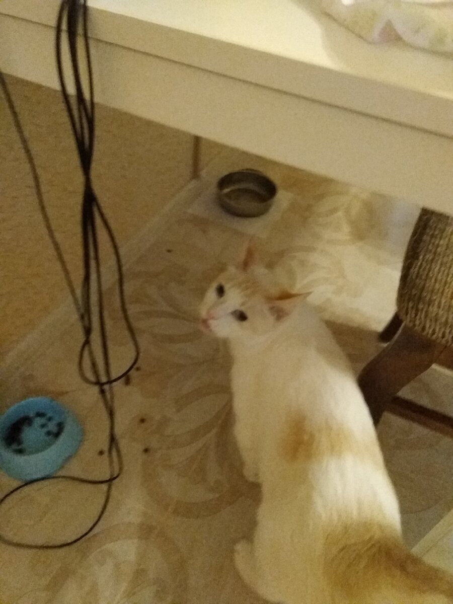 милаха