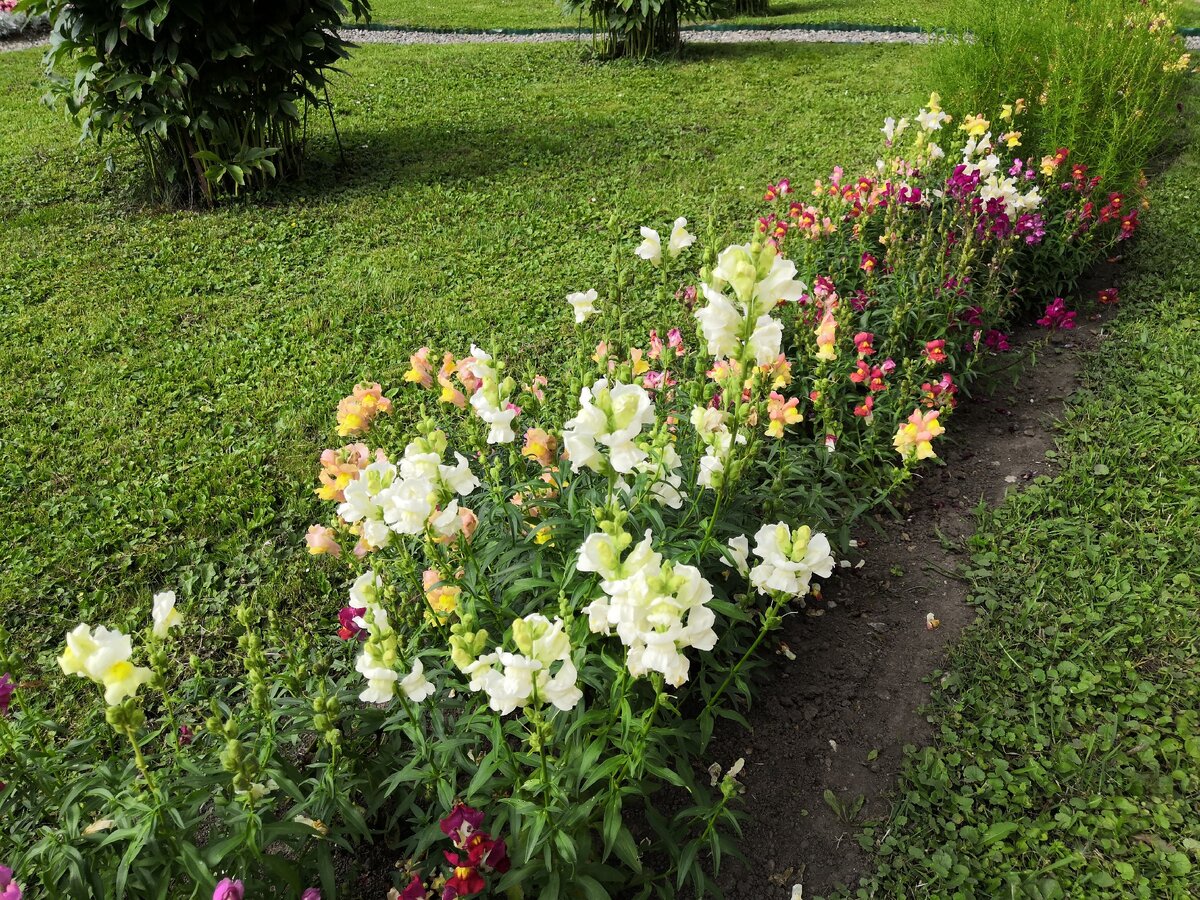 Главный дом музея-усадьбы Горки Ленинские (фото автора)