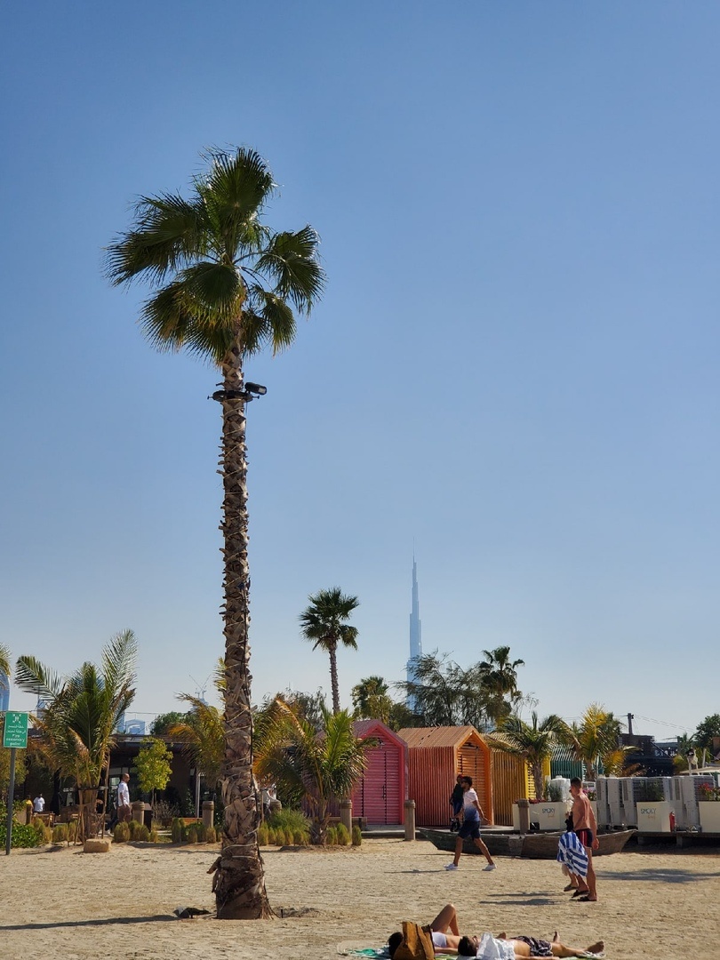 Jumeira Public Beach