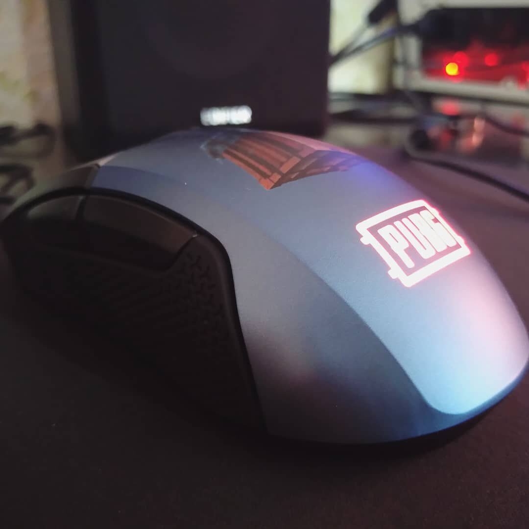 SteelSeries Rival 310 Личное фото