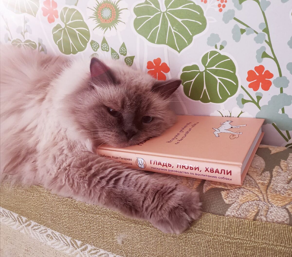 Ни на что подобное ваш отдых похож не будет!