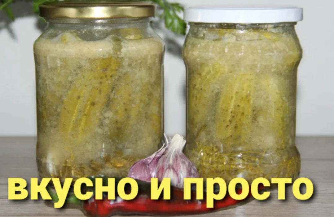 Засолка огурцов с горчицей — рецепт с фото пошагово
