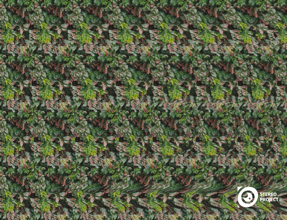 Картинка из открытых источников Интернета