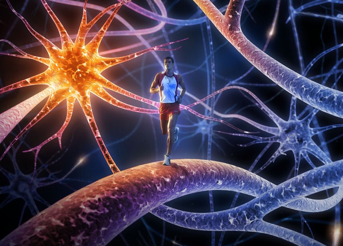 Подпишитесь на канал, выскажите свою точку зрения в комментариях и поставьте ЛАЙК, если статья заинтересовала