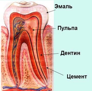 Кариес. Стадии кариеса зуба