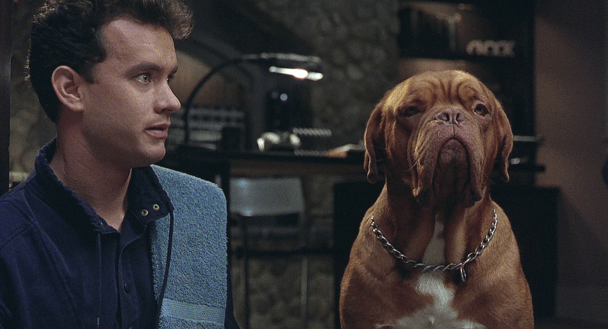 Кадр из фильма  "Тёрнет и Хутч" (1989)