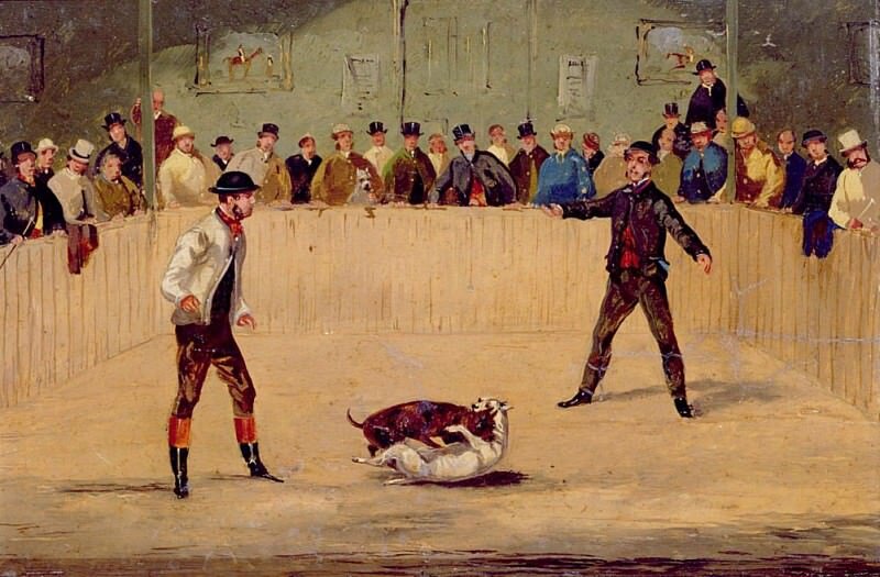 Собачий бой 