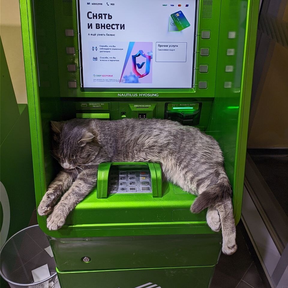 Фото из интернета