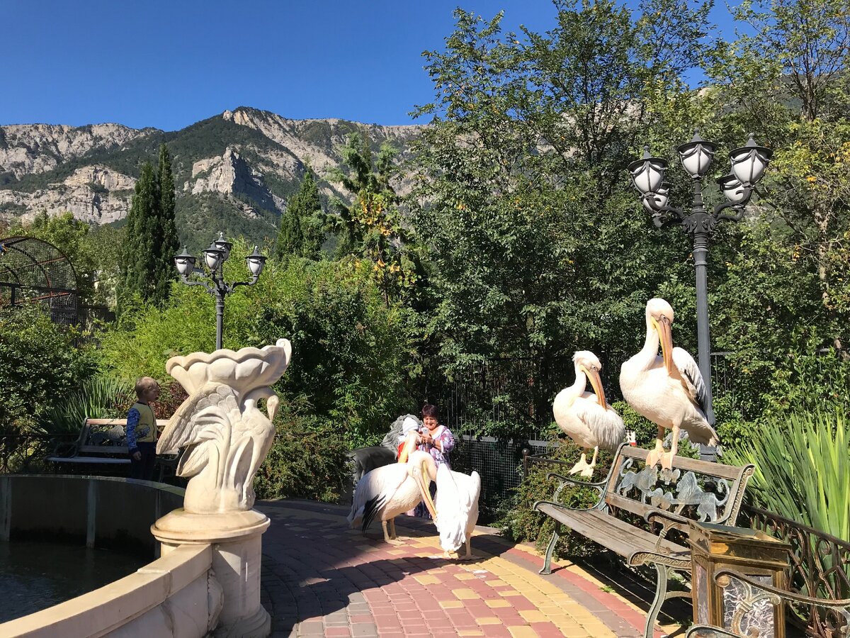 Красоты Южного берега Крыма