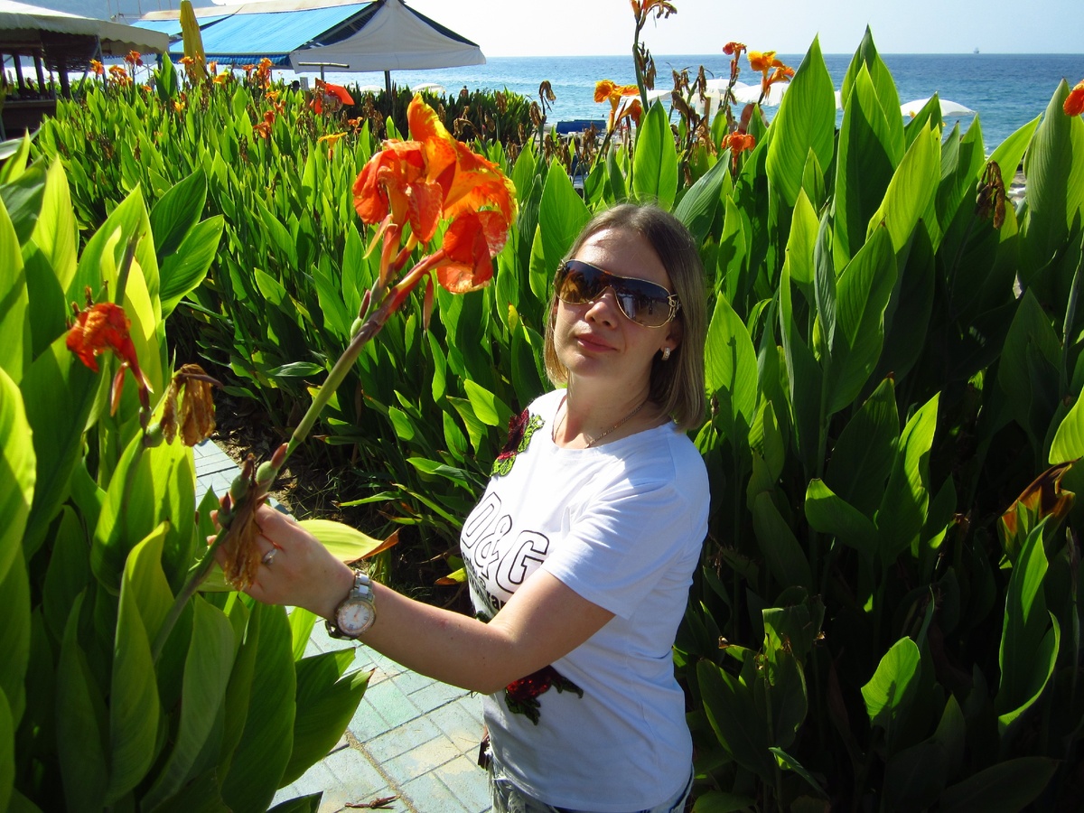 Фото канала Atpalm. Обильные цветы и кусты с цветами. всех мастей.