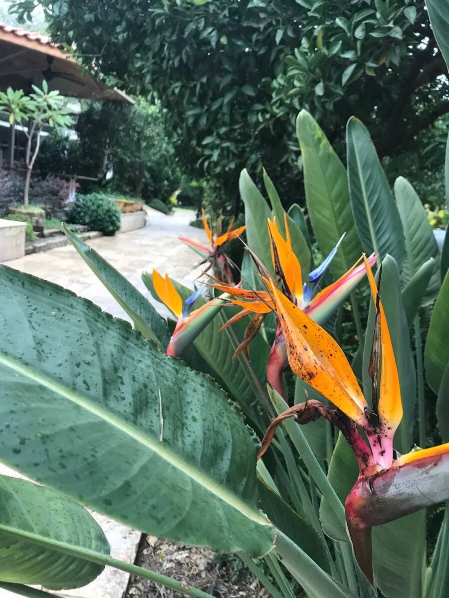 Турция зимой