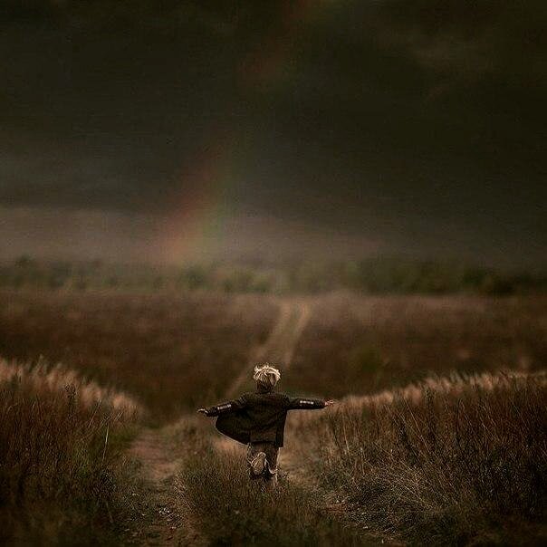 Истории рыжего кота