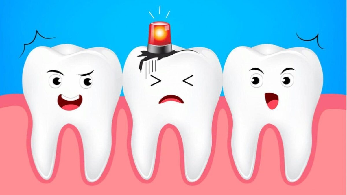 фото взято из открытого доступа в Яндекс Картинки