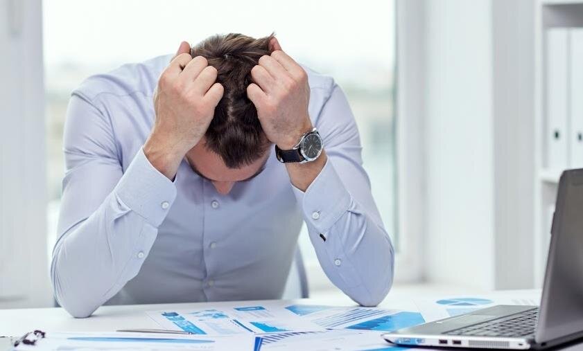 все фото взяты в интернете в свободном доступе