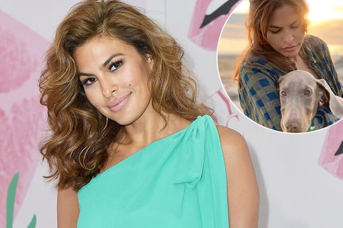 Почему знаменитости выбирают приютских собак?