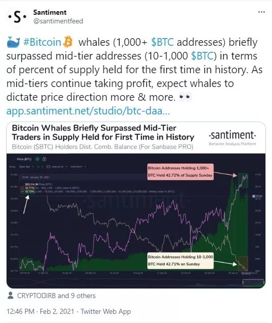 Источник изображения: ​​​​​​Twitter