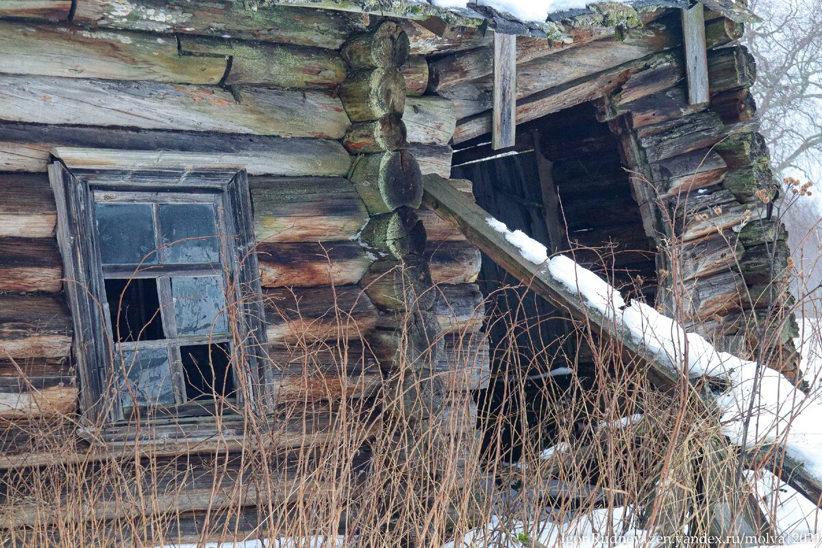 Музей деревянного зодчества в суздале. Сельские селитебные ландшафты. Шушенское музей машина. Деревня середняков. Заброшенная деревня.