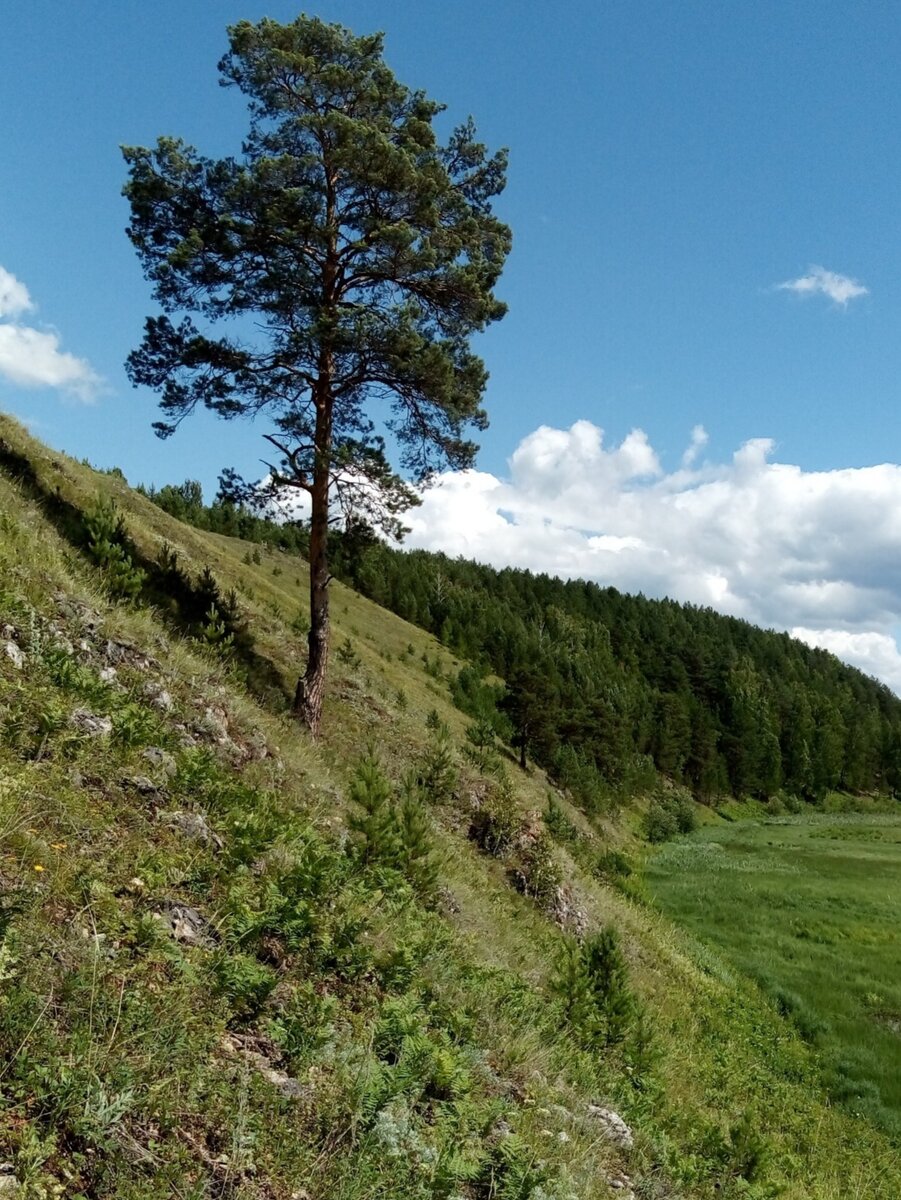 Фото с сайта Picsart